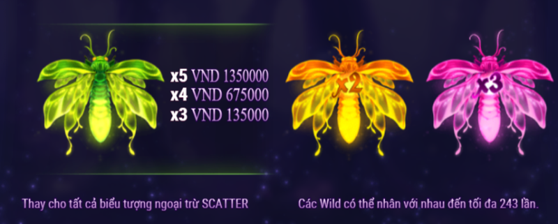 scatter Firefly Frenzy